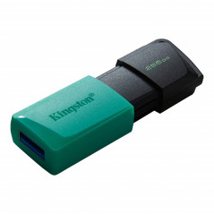 Kingston USB 3.2 Gen1 USB-minne 256GB