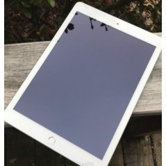 iPad (2018) 6th gen 32GB med 4G LTE Silver (beg med lite lägre batterihälsa)
