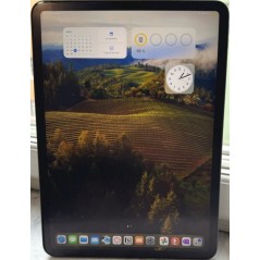 iPad Pro 11 2nd Gen (2020) 128GB 4G LTE Space Gray (beg)