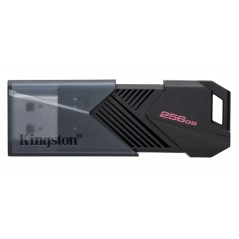 Kingston Exodia Onyx USB 3.2 Gen1 USB-minne 256GB